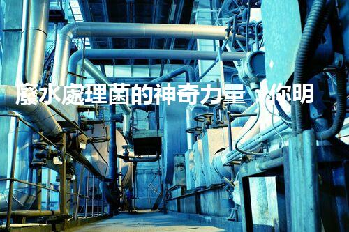 廢水處理菌的神奇力量：你明白它們有多厲害嗎？